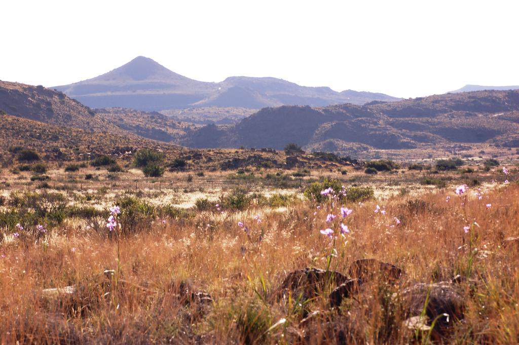 Villa The Vale Karoo Farm à Nelspoort Extérieur photo